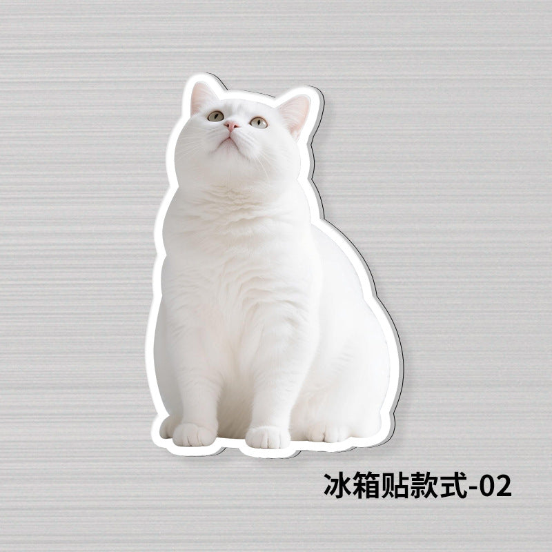 Wholesale Acrylic Pet Refrigerator Stand